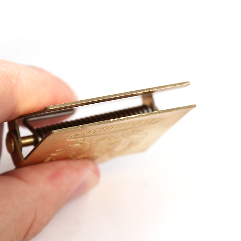 TN brass clip